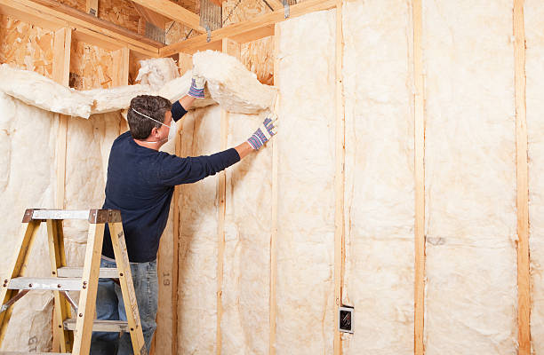 Best Basement Insulation  in Bar Nunn, WY